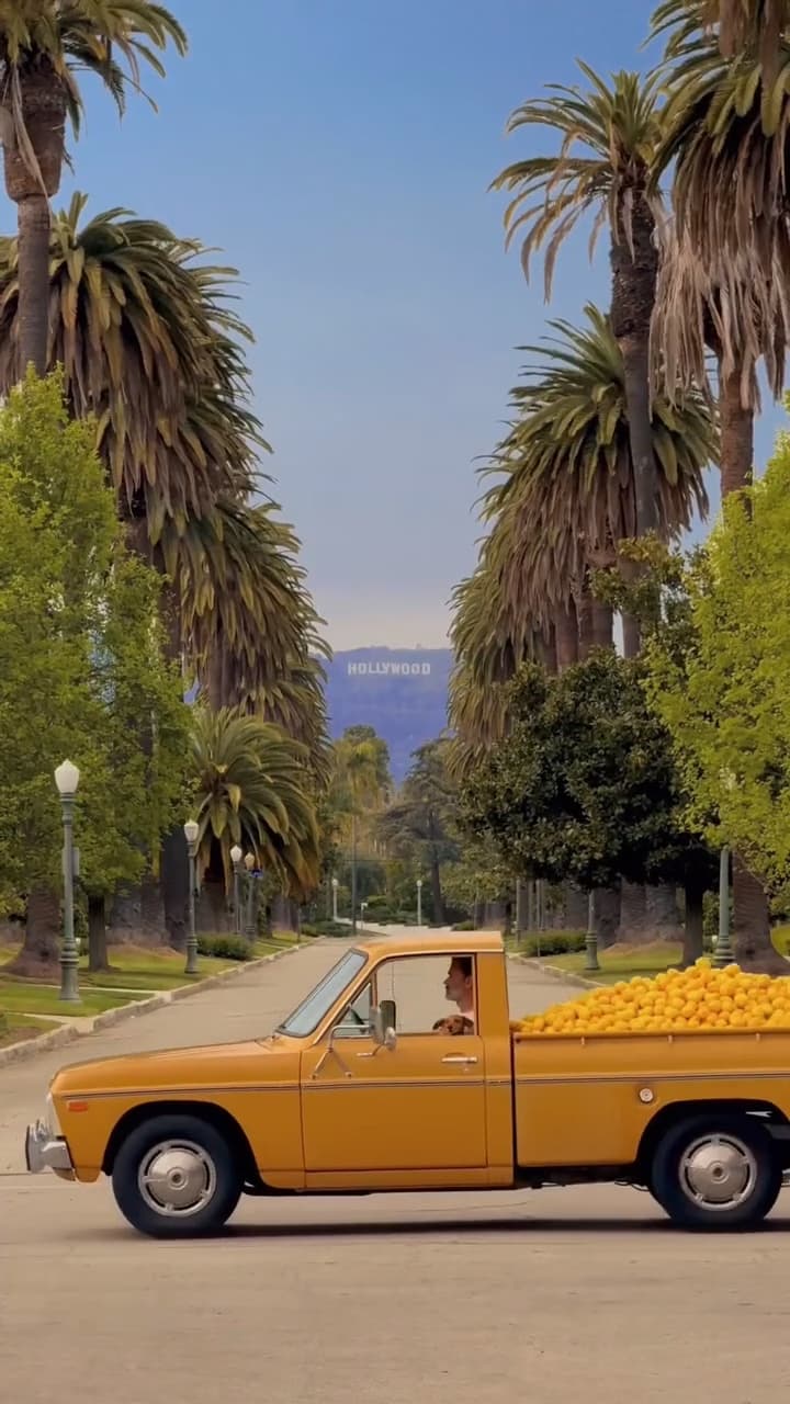 Hollywood drive